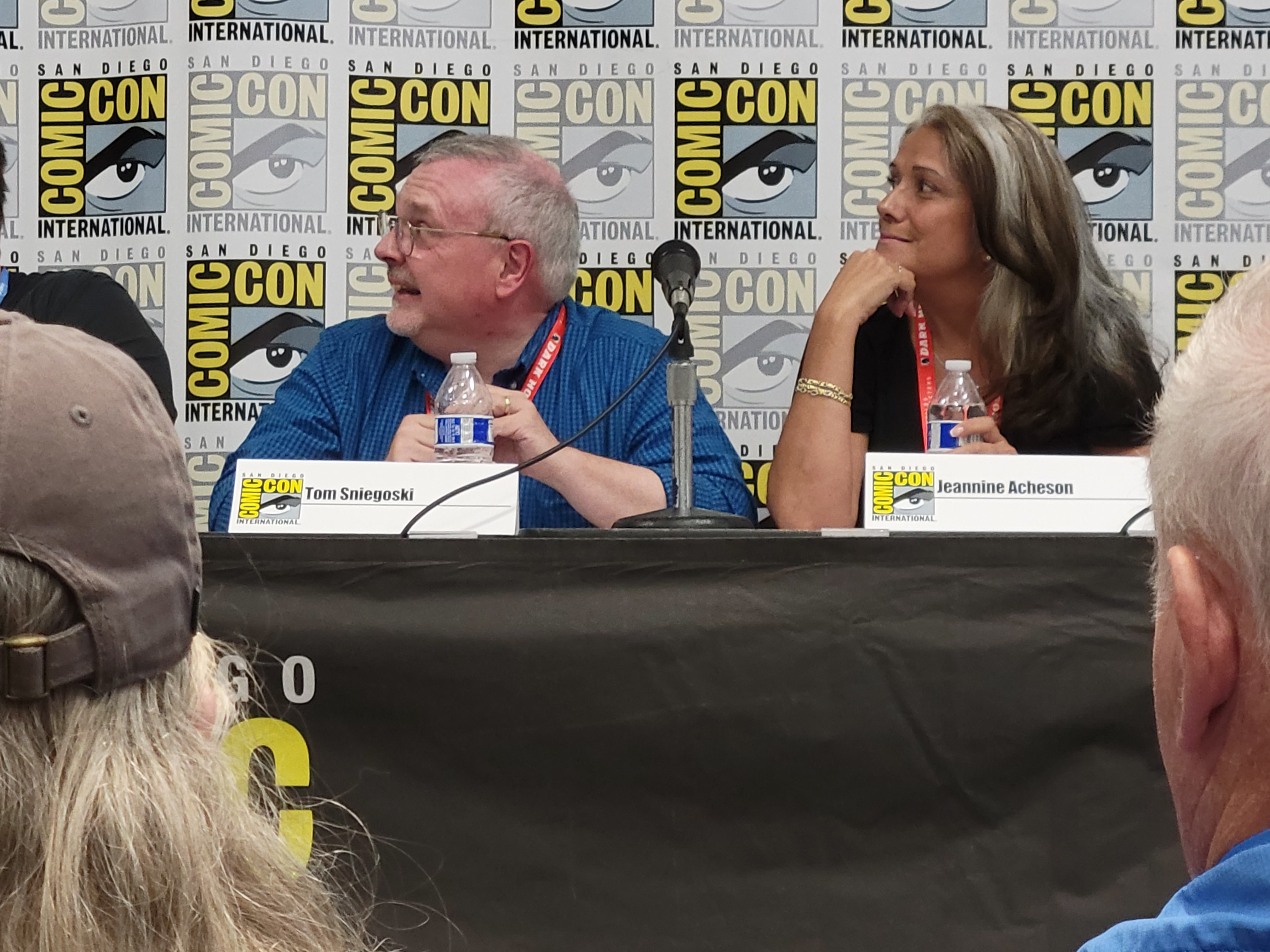 SDCC Panel